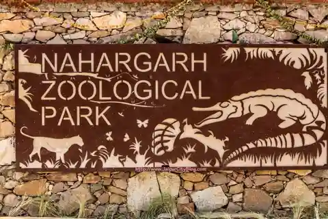 Skip The Line : Nahargarh Biological Park Tour, Jaipur