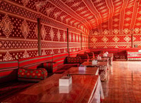 half day camel tour with one night stay - Housity