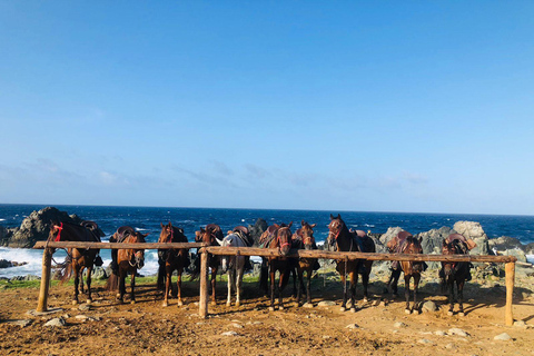 Aruba: Rancho Loco Natural Pool Horseback Tour thru Arikok Aruba: Rancho Loco Natural Pool Excursion