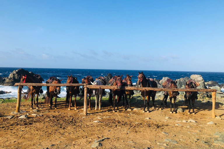 Aruba: Rancho Loco Natural Pool Horseback Tour thru Arikok Aruba: Rancho Loco Natural Pool Excursion