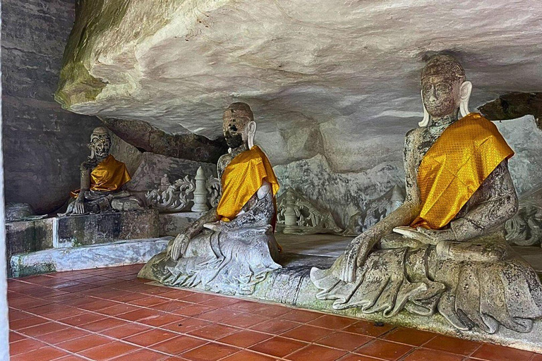 Visite du Doi Suthep et du temple Wat Pha Lat en soirée