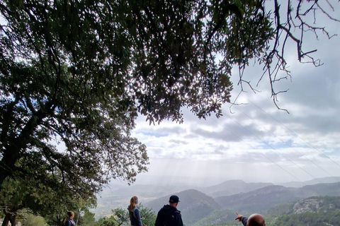 Mallorca wandeltocht &quot;Castell d&#039;Alaró&quot;.