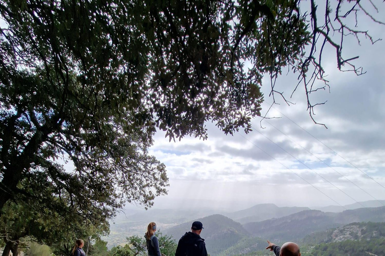 Excursión a pie por Mallorca &quot;Castell d&#039;Alaró&quot;