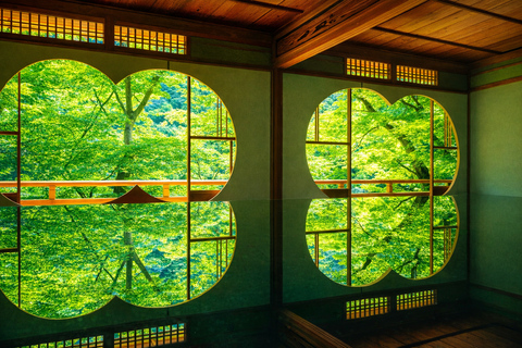 Kyoto: Private City Highlights Tour (Local Guide 6-Hour)