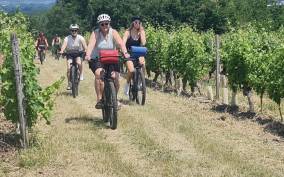Angers: Cycling tour with wine tastings !