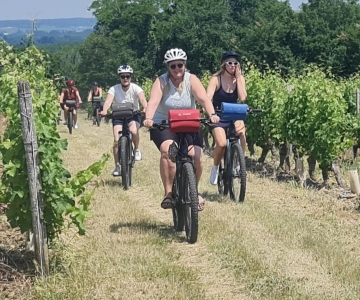 Angers: Tour in bicicletta con degustazione di vini!