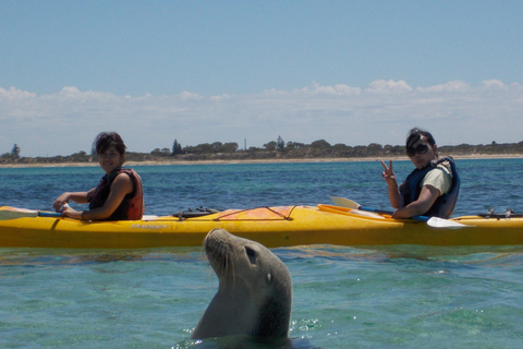 Perth : Excursion en kayak de mer dans le parc marin des îles Shoalwater