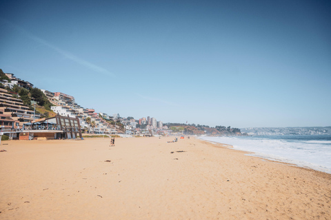 Depuis Santiago : Casablanca, Valparaíso, Viña del Mar et Reñaca (art et mer)