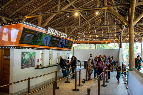 São Paulo: Simba Safari Entry Ticket