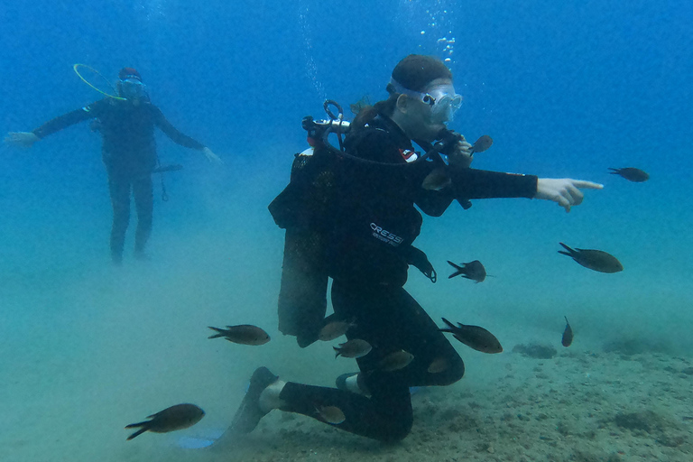 Salou: Scuba Diving for Beginners