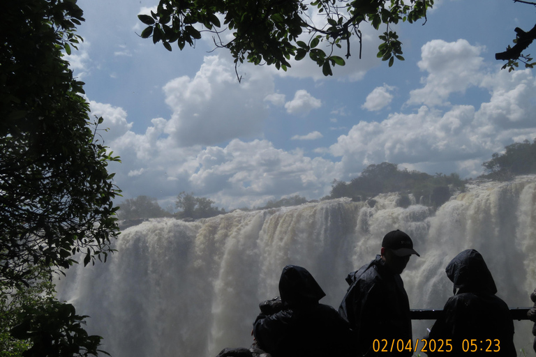 Victoria Falls: Guided Tour with Hotel Pickup