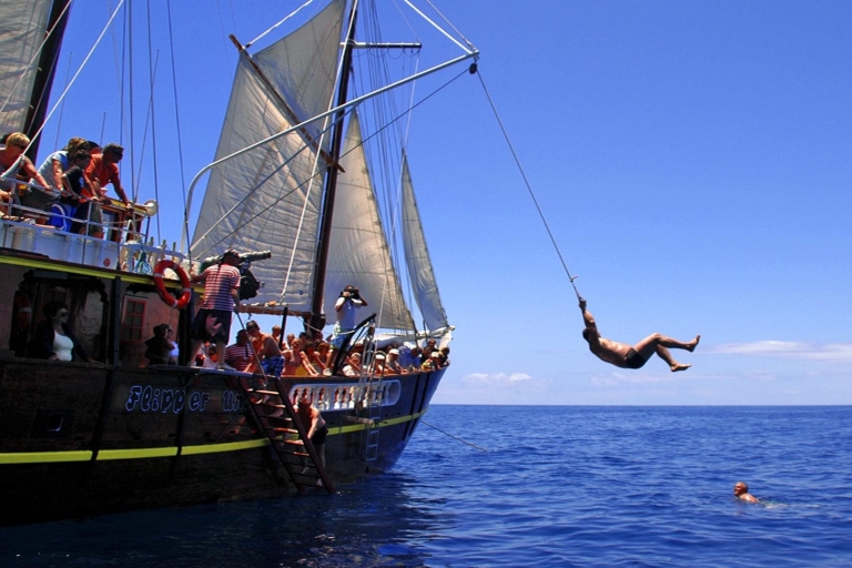 Los Gigantes: Dolphin and Whale Watching Tour with Drinks 3-Hour Boat Tour with Lunch