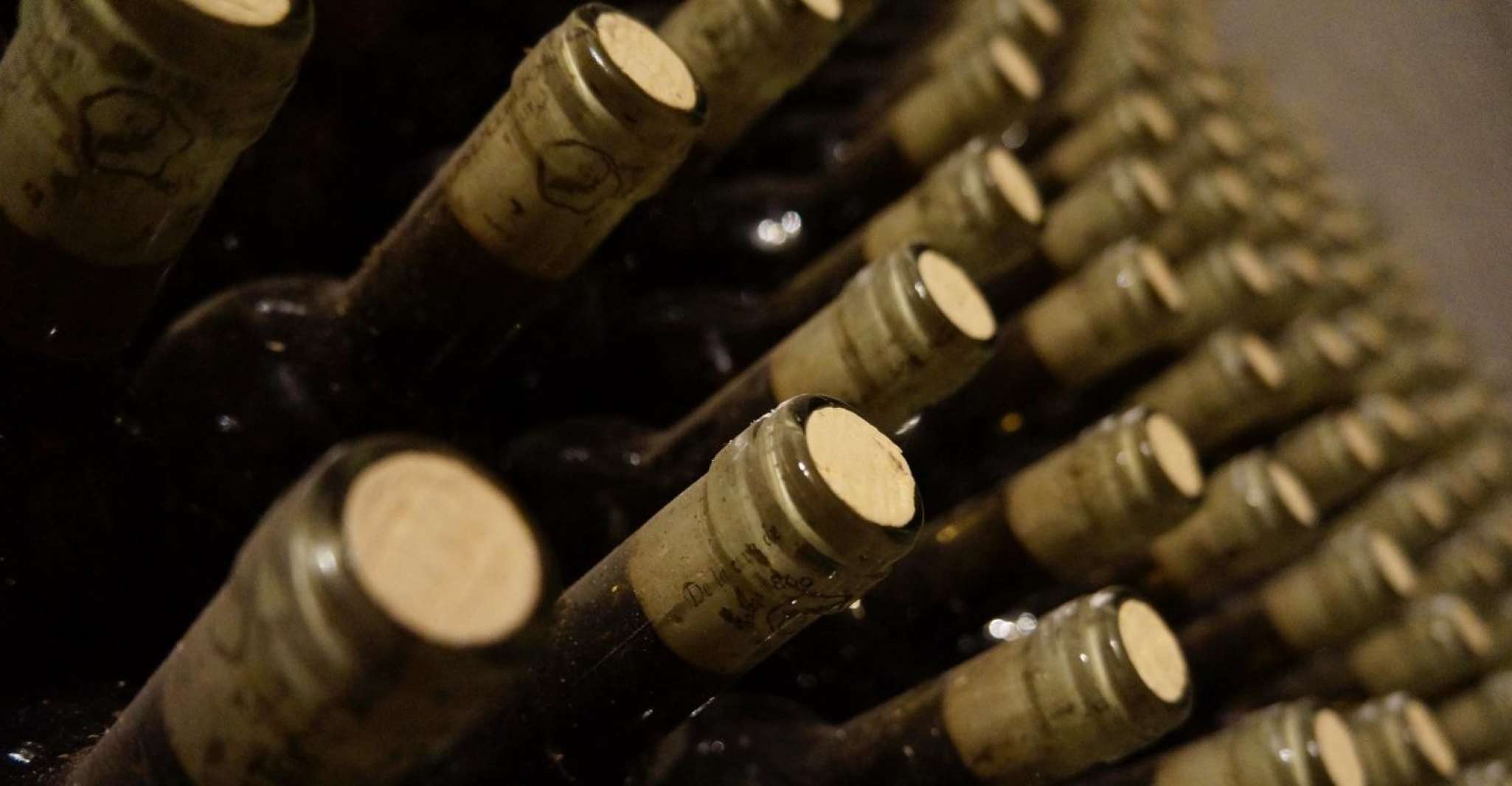 Luxury Wine tasting in Valle d'Itria - Housity
