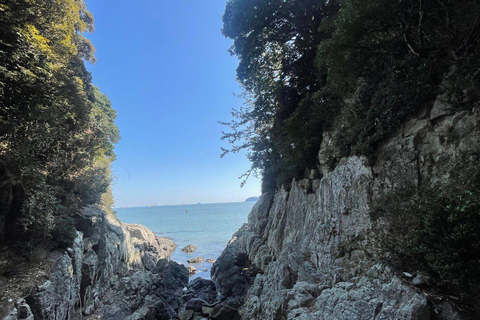 Da Seul: viaggio panoramico di 2 giorni a Yeosu e Suncheon