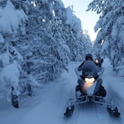 Luleå: Wald & Eis Snowmobile Touren (2 oder 4 Stunden)
