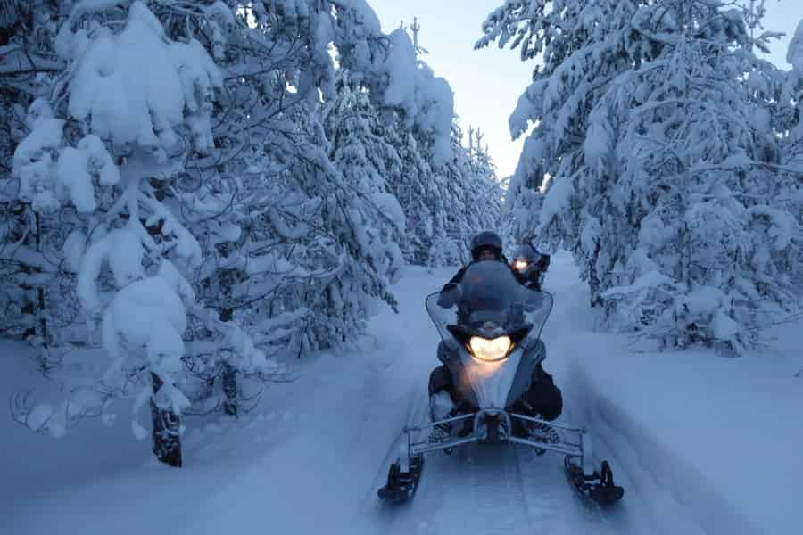 Luleå: Wald & Eis Snowmobile Touren (2 oder 4 Stunden). Foto: GetYourGuide