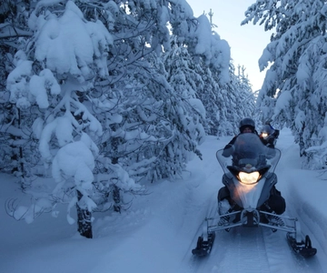 Luleå på snöskoter: Skog & Is Snöskoterturer (2 eller 4 timmar)