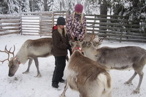 Het beste van Lapland: Dorp van de Kerstman + Husky en rendieren