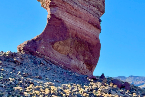 Private tour Tenerife: Teide National Park + Restaurant