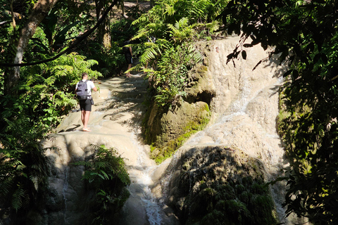 Chiang Mai: Tour di mezza giornata delle cascate Sticky e trasferimenti dall&#039;hotel