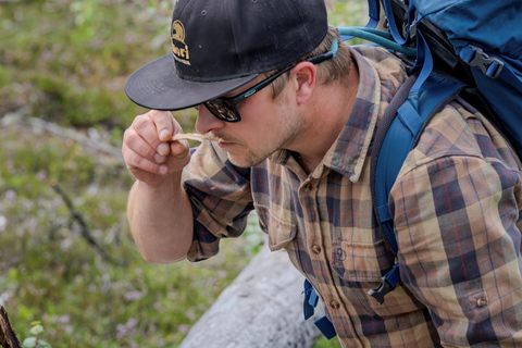 Saariselkä: excursión a los tesoros del bosque con almuerzo al aire libreSaariselkä: Excursión a los tesoros del bosque con almuerzo al aire libre