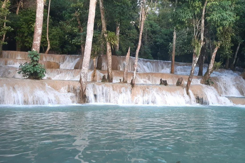 Slow boat to Pak Ou caves and Kuang Si falls Full-day tour