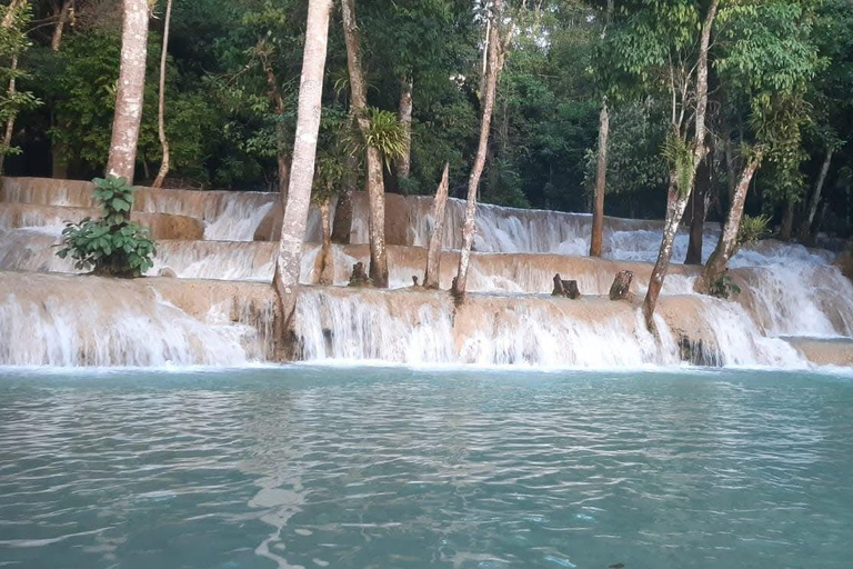 Slow boat to Pak Ou caves and Kuang Si falls Full-day tour