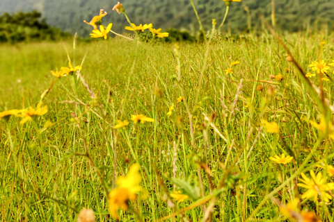 De Mumbai: trilha guiada ao Forte de Sondai com refeições e transporteDe Mumbai: trilha guiada ao forte de Sondai com refeições e traslados