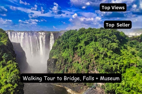 Pont des chutes Victoria : visite guidée du pont, du musée et du caféChutes Victoria : L'expérience du pont