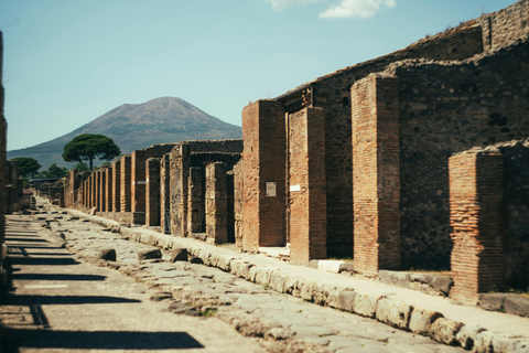 Naples: Pompeii and Mount Vesuvius Tour with Tickets
