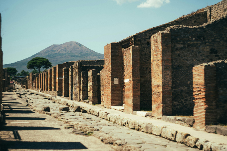 Naples: Pompeii and Mount Vesuvius Tour with Tickets