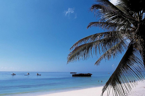 Full-Day Malindi & Watamu Discovery Tour and Excursion
