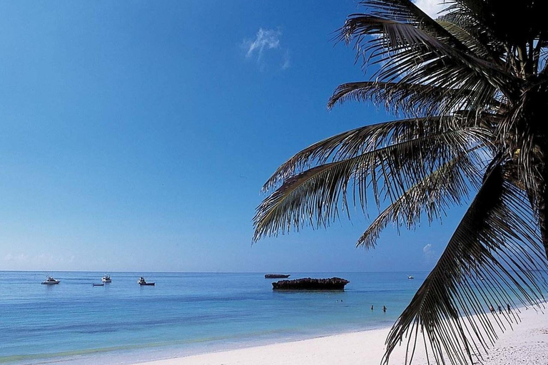 Full-Day Malindi & Watamu Discovery Tour and Excursion