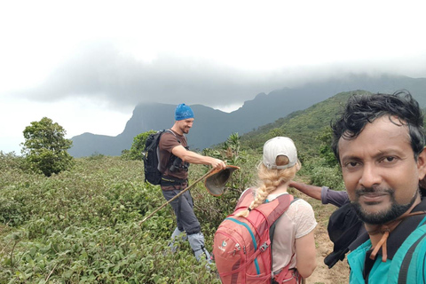 纳克尔斯峰探险和希洛亚村露营 2 日游