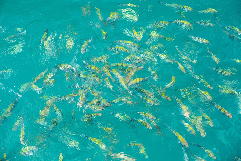 Ang Thong Full-Day Cruise with Sunset by The Red Baron Boat