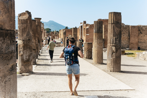 From Rome: Pompeii and Mount Vesuvius Day Trip with LunchPompei &amp; Vesuvius Area Walk with Geologist