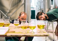 Berlín, gira de cervecería con cata de cerveza - Housity