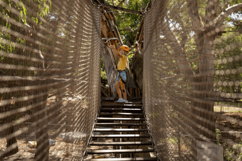 TreeClimb Adelaide: Spannend klimmen voor kleine avonturiers