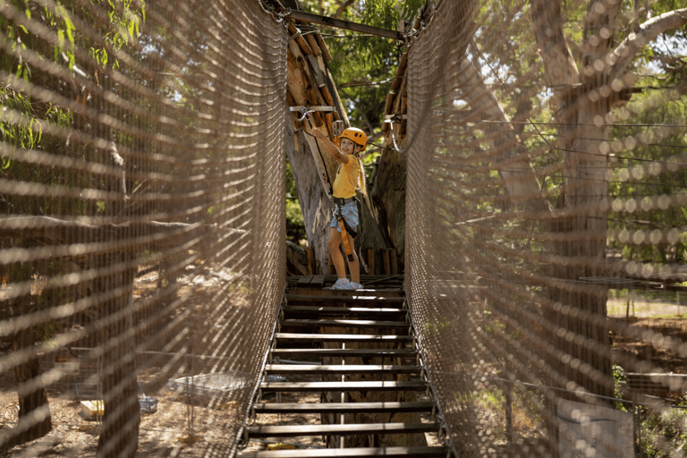 TreeClimb Adelaide : Une escalade passionnante pour les petits aventuriers