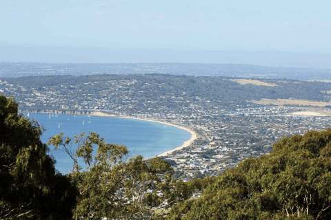 Melbourne: Mornington Peninsula Wine Tour with Lunch Melbourne Departure