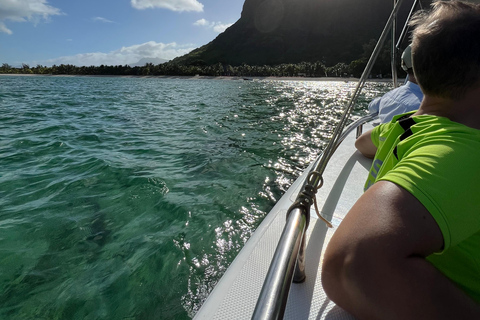 Mauritius Eco Whales Quest, 3-4 hours Expedition Private Boat