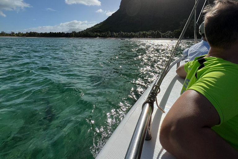 Mauritius Eco Whales Quest, 3-4 hours Expedition Private Boat