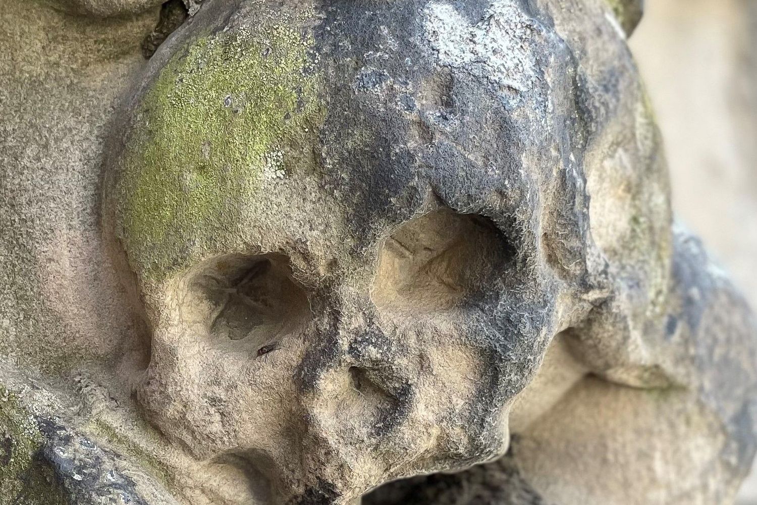Braunschweig: Von Vampiren und Spukgestalten