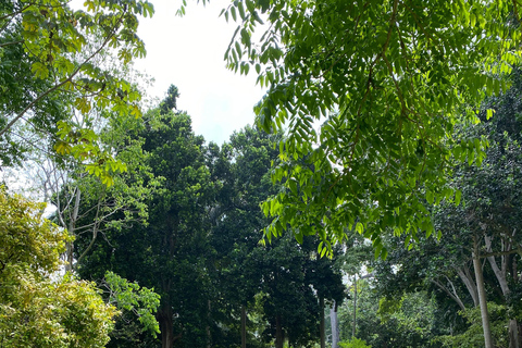 Cartagena: Guided Experience in the Botanical Garden