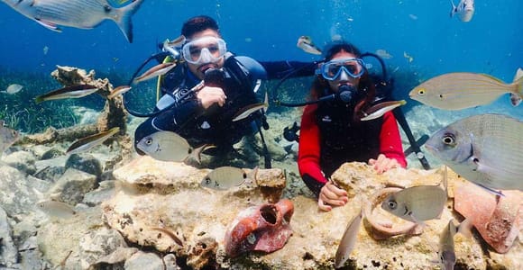 Kuşadası: Beginner Scuba Diving Adventure with Lunch