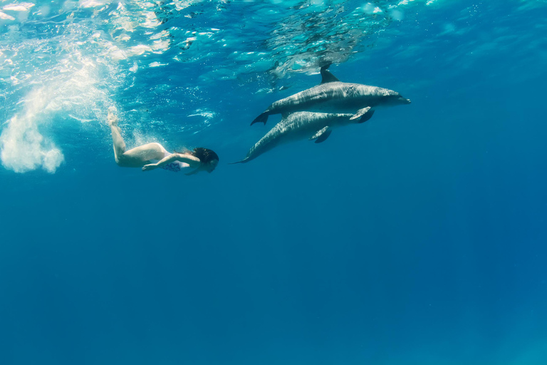 Sharm El-Sheikh: Desert & Waves Adventure / Lunch Option 2 : ( 1 x DBL Parasailing + Banana + Tube )
