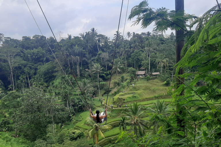 Ubud: Foresta di scimmie, terrazze di riso e cascateUbud: Foresta di scimmie, terrazza di riso e cascata