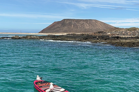 Fuerteventura: Dolphin watching and Lobo Island Combo Cruise