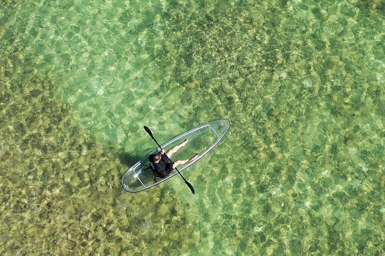 Key West Area: Guided Clear Kayak Eco-Tour