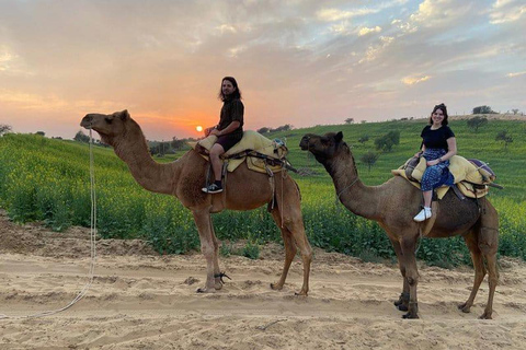 Safári de camelo no deserto: viagem de 1 dia saindo de Jodhpur